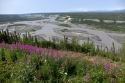 Copper River